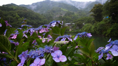 雨物語.14