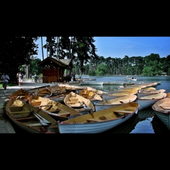 Bois de Boulogne.
