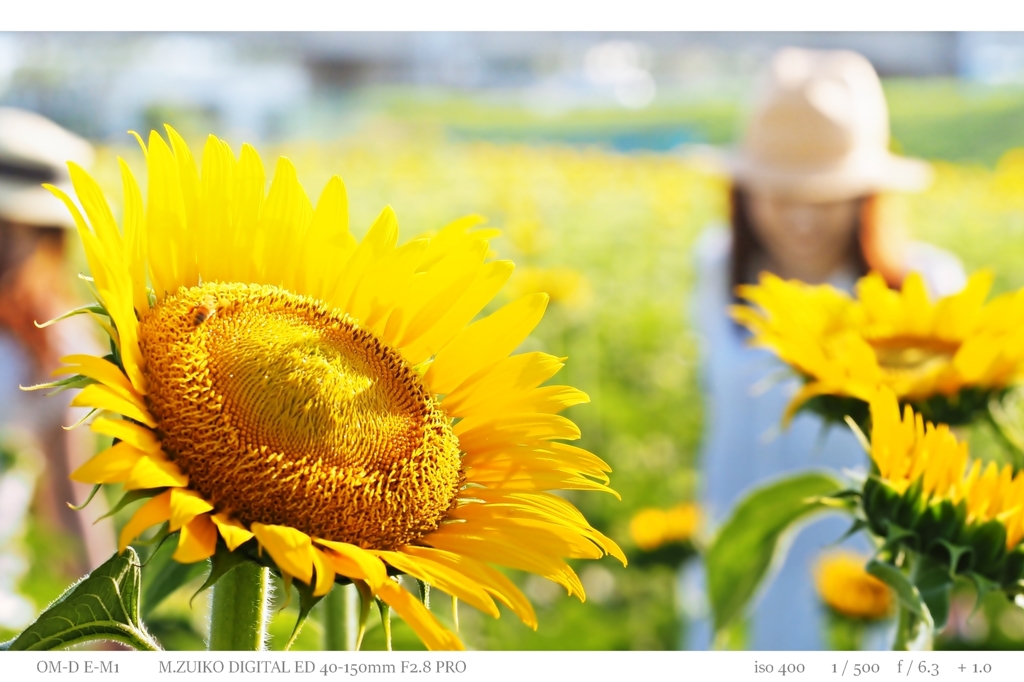summer time .3