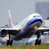 iron bird　.3