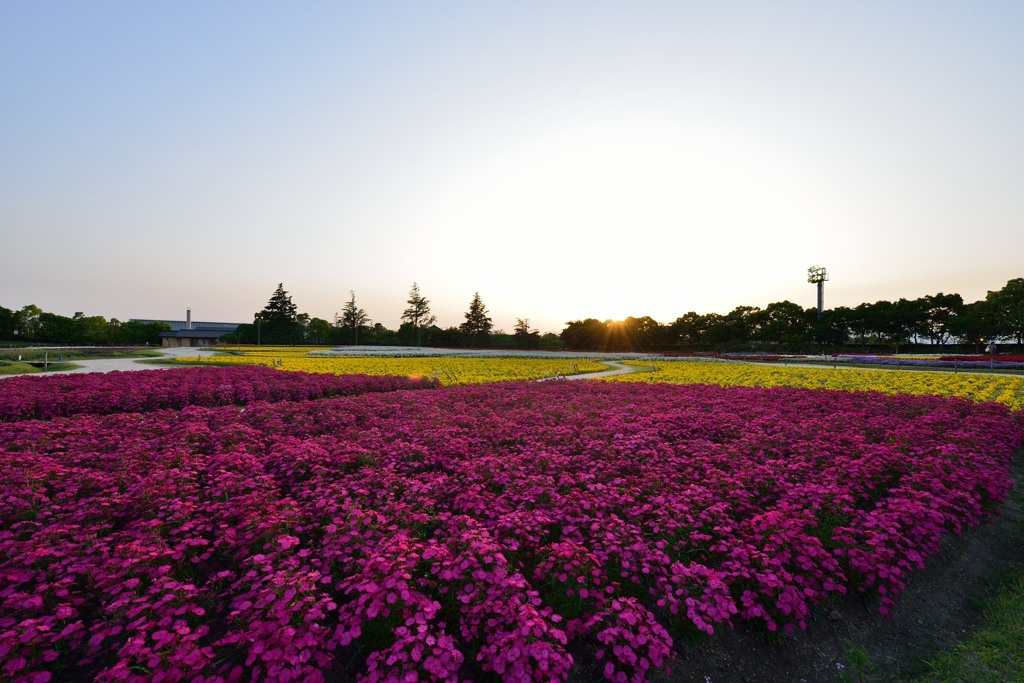 なんとなく撮った写真