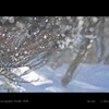 powder.3