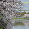 荒子川