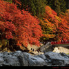 香嵐渓紅葉まつり.2