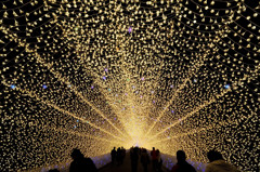 Winter Illumination.4