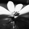 Autumn started.6