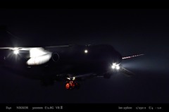 Moonless night bird .1