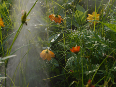 relaxation　GardenＡ