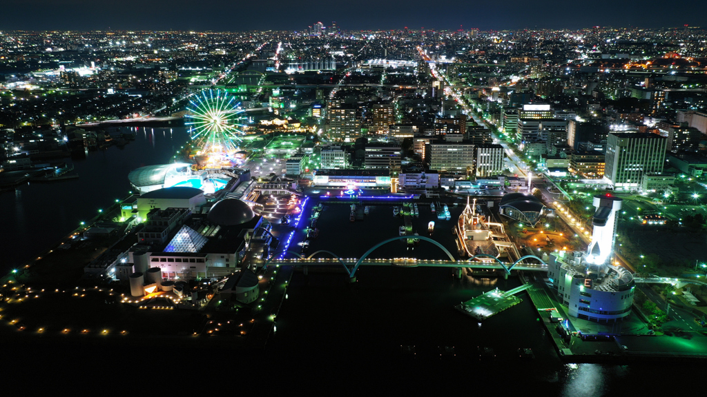 Blue Light Nagoya　.4