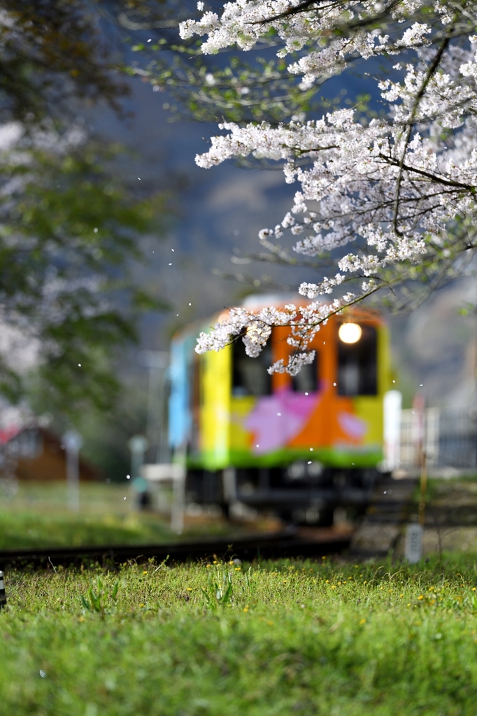 　彩 列 車 .