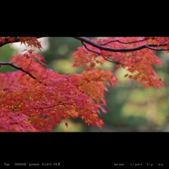 晩秋
