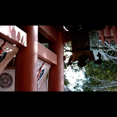 初詣.1
