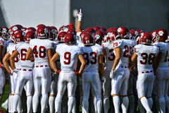  49days left 　.5