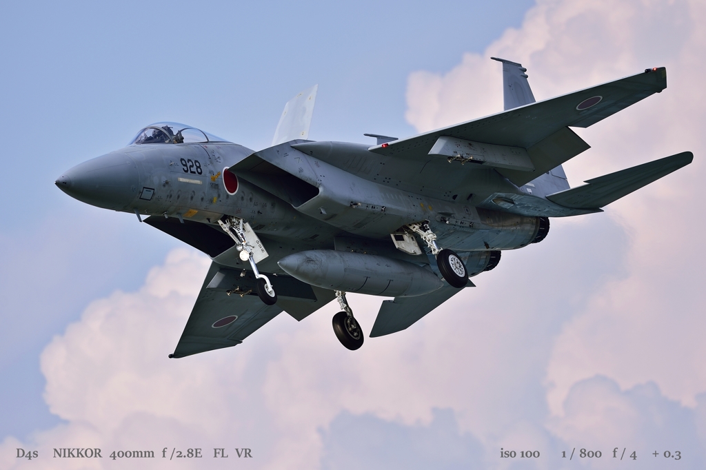 Fighter pilot.1