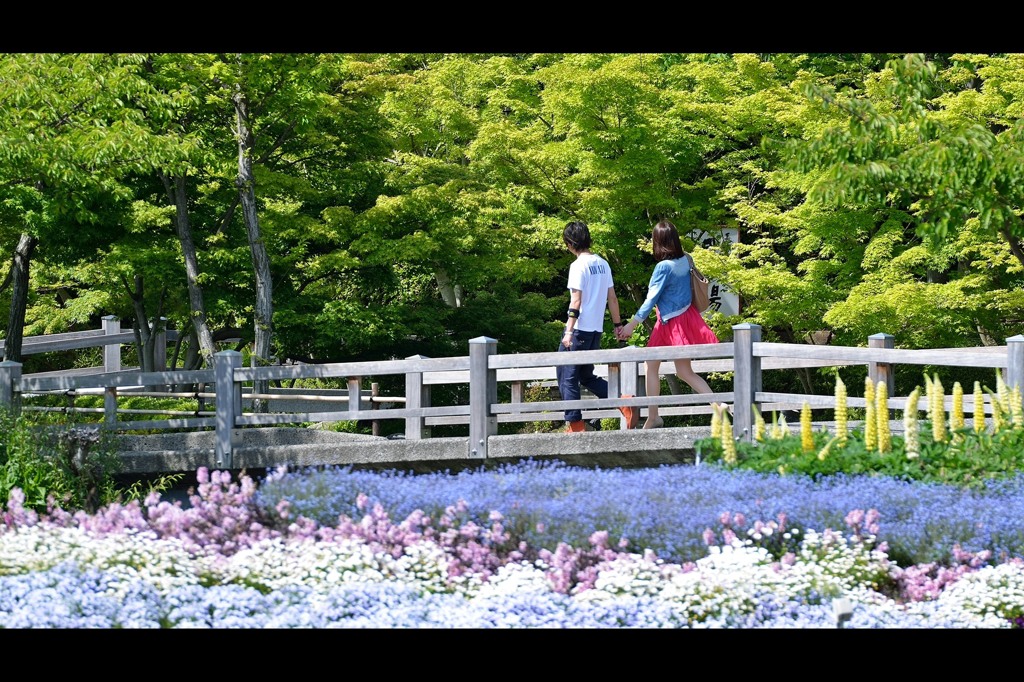 連れ込み