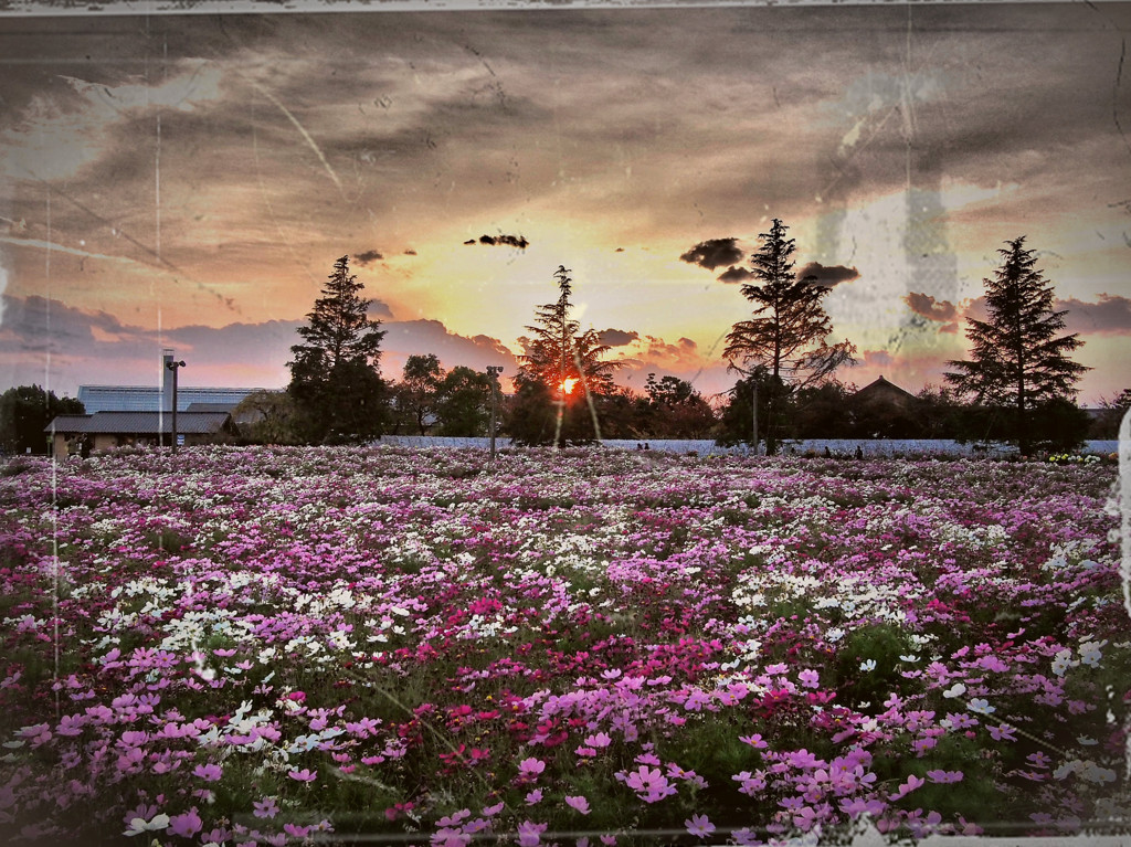 Country.4