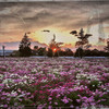 Country.4