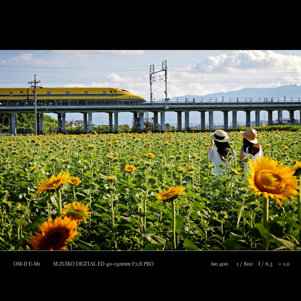 yellow happiness.　