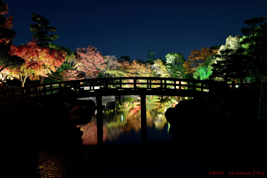 くすのき橋