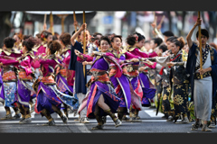 2019 名古屋 ど祭り　　.2