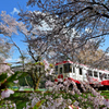 　華　旅　.2