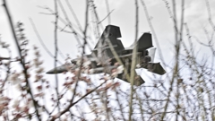 　梅と野鳥　.