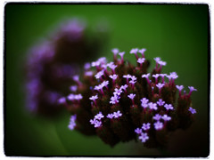 Autumn begins.4
