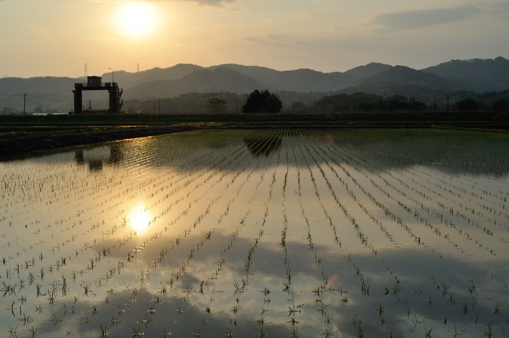 田園