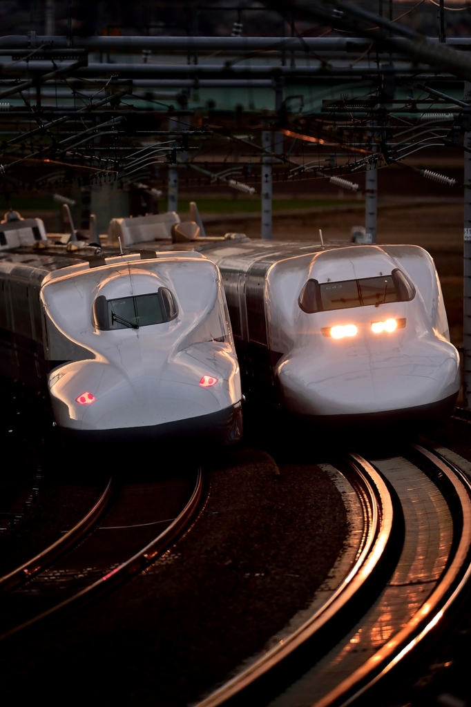 twilight superexpress.3