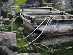 ship.1