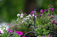 early summer bouquet.2