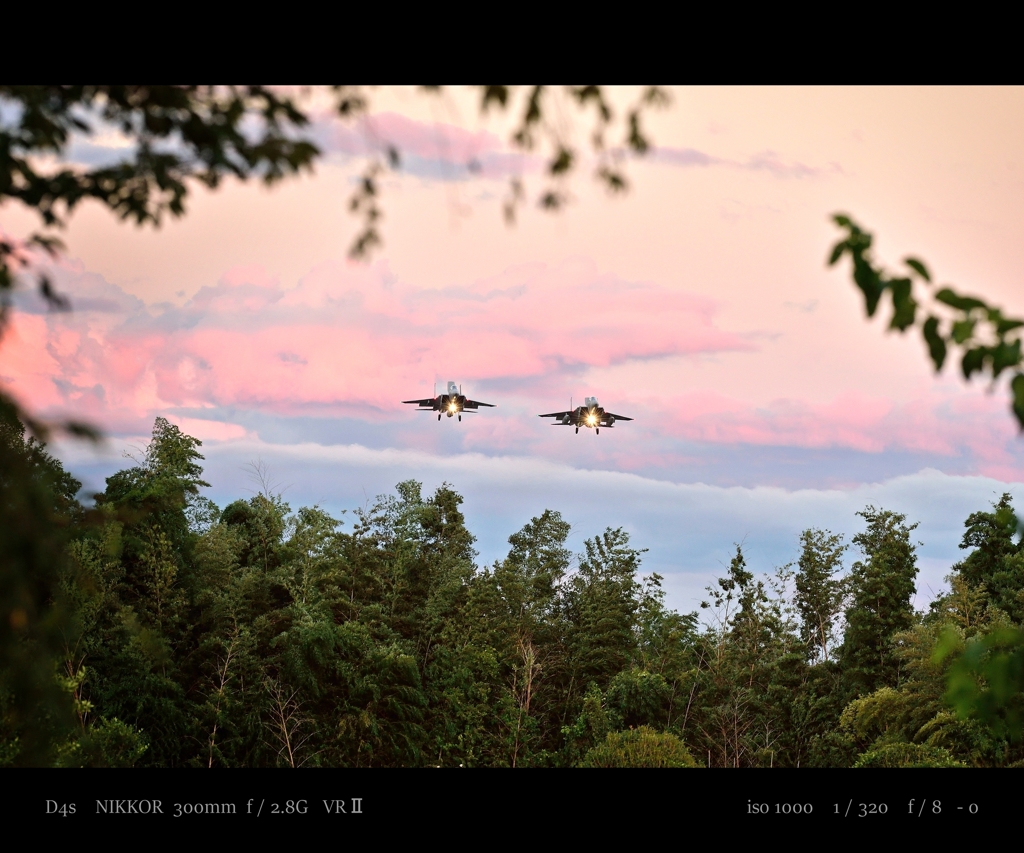 Double Wing .