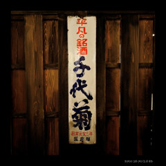 千代菊
