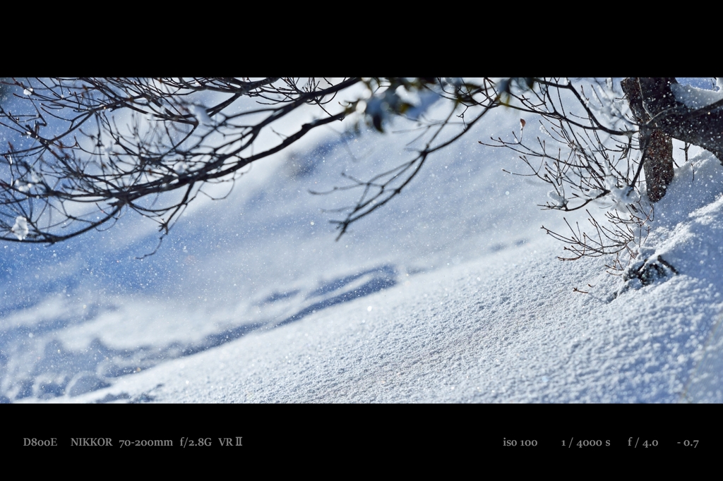 powder.4