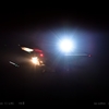 night bird .2