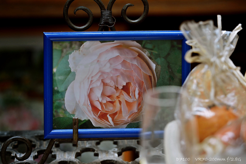 La Vie en Rose.2