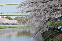 マチワビテ･･･