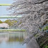 マチワビテ･･･