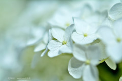 wonderful morning .3 wonderful morning .3