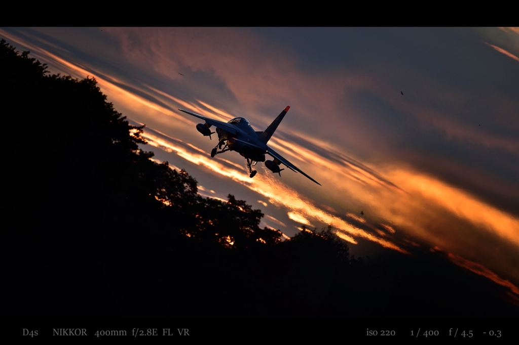  fire bird.1