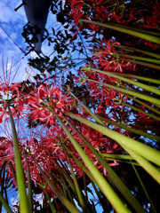 おれのほうが･･