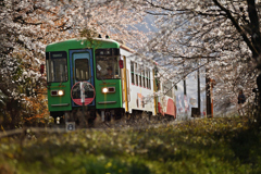 　た ま に は 二 両 編 成 で 走 る 事 も あ る の で す　　.