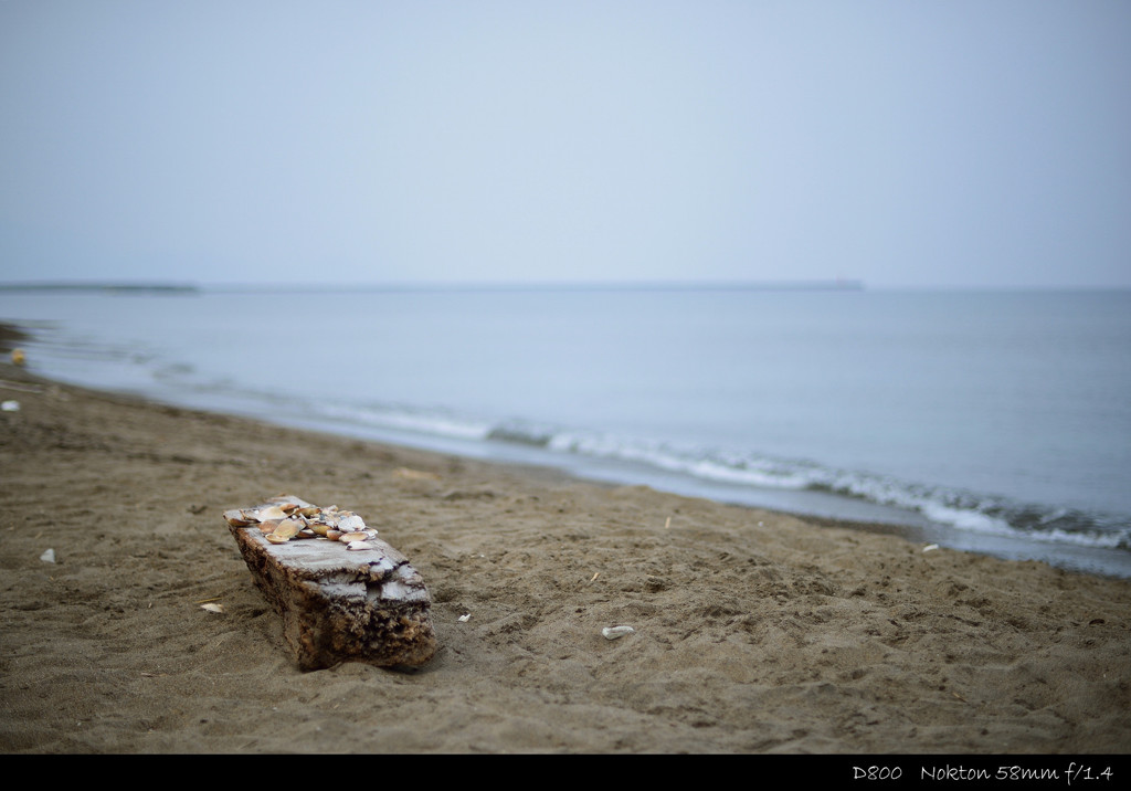夏の終わりの寂しさ