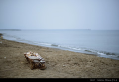 夏の終わりの寂しさ