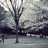 【monologue】two