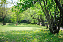 fresh green world