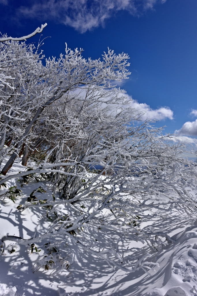 Snow-covered mountain.3