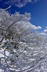 Snow-covered mountain.3