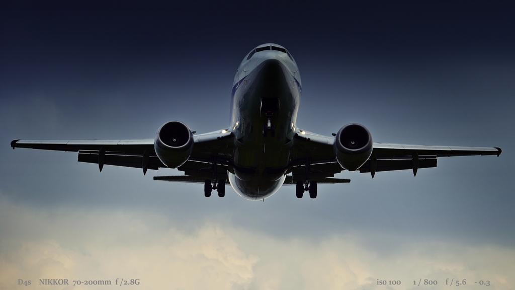 Fly High .