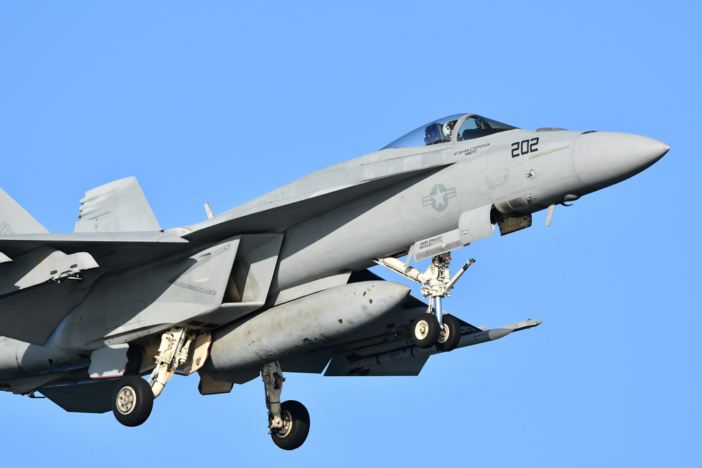 F/A-18E   .2